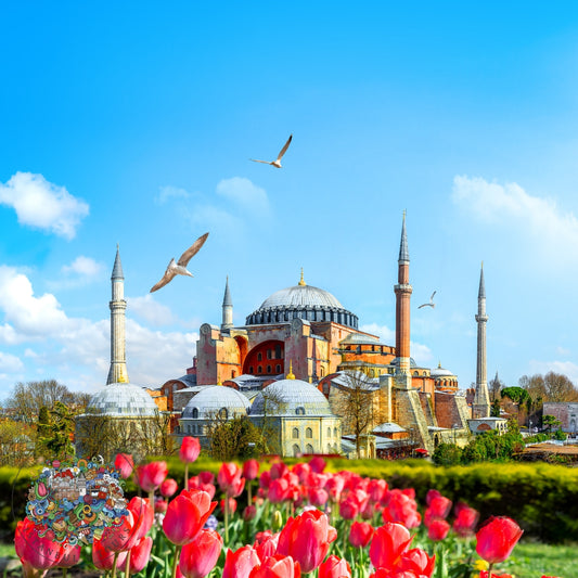 All Inclusive Full-Day Private Guided Cultural Tour of Istanbul