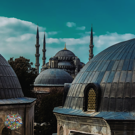 Full-Day Private Guided Cultural Tour of Istanbul